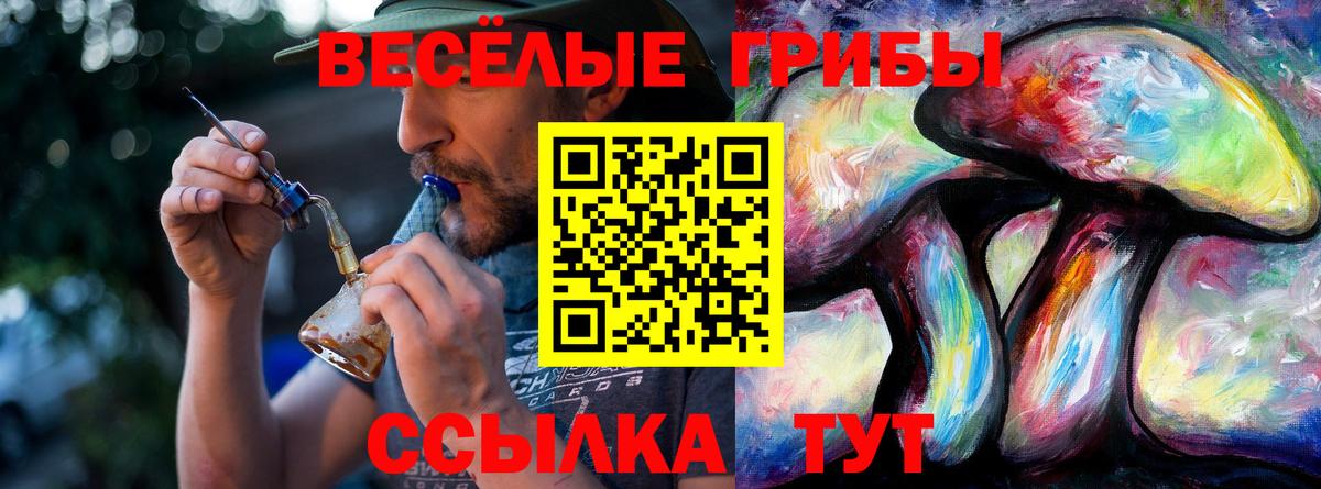 Псилоцибиновые грибы GOLDEN TEACHER Великие Луки